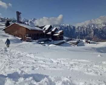 auli